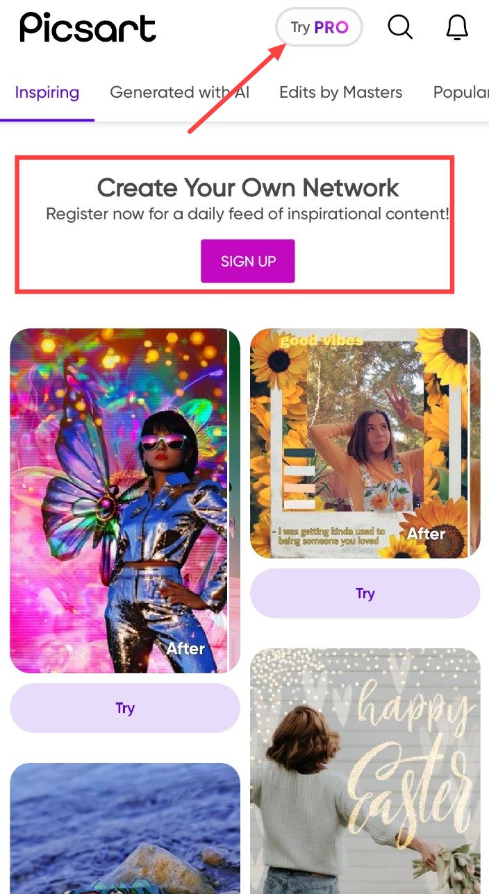 Community and Social Features